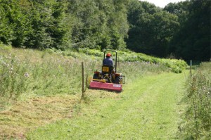 tractor and mower cutting area of over grown grassland